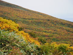 鳥海山の山肌を染め上げる