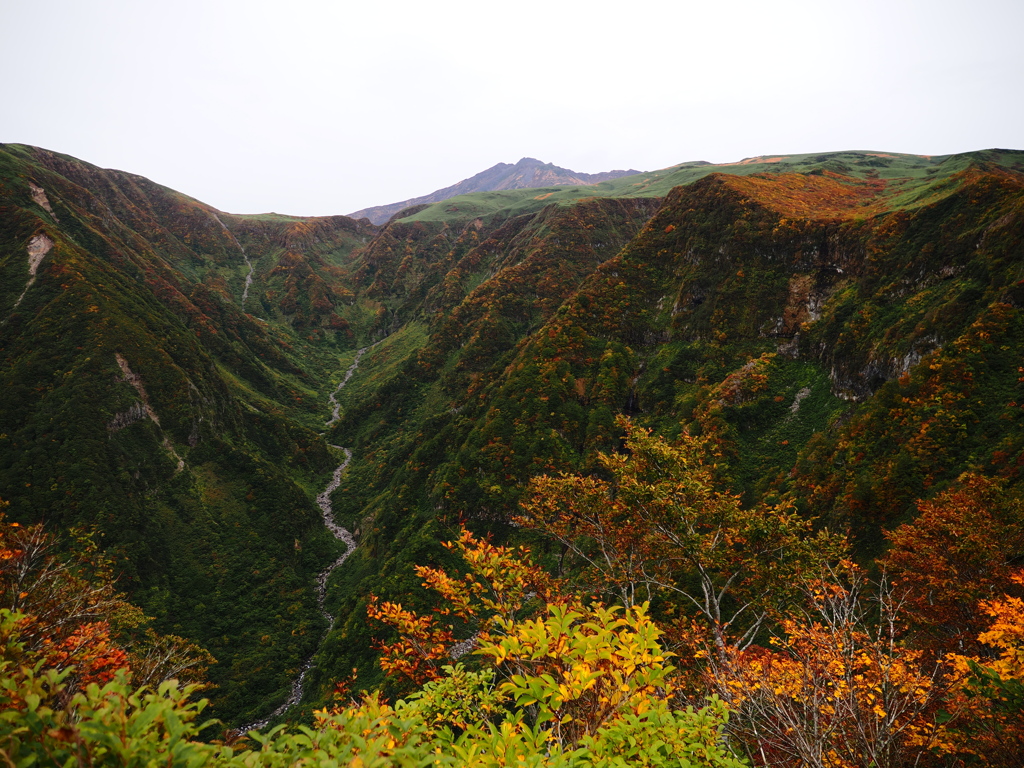 色付き始めた鳥海山