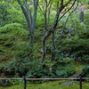 常寂光寺②