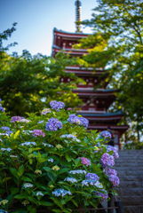 夏の兆し
