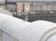 30F37300-1AD3-4B65-ABCB-DF75D4C1A751