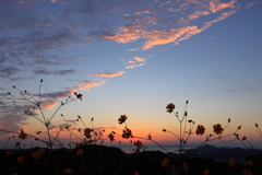 秋の夕暮れ