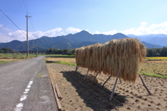 実りの秋