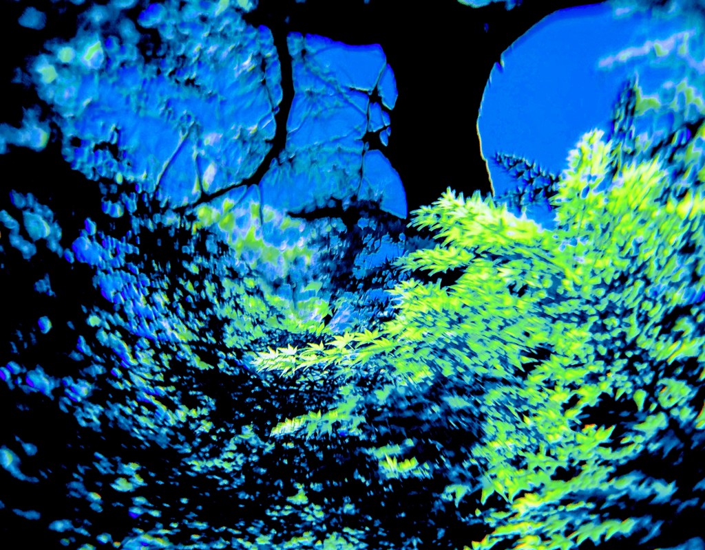DSC_0103~2
