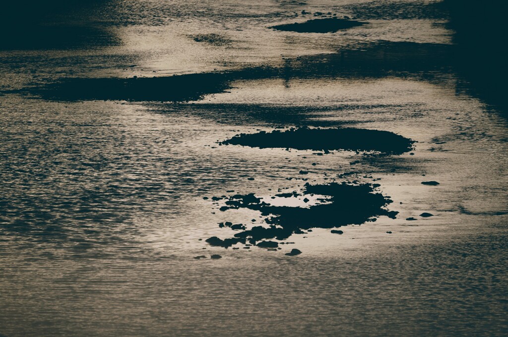 _DSC9091~2