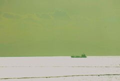 _DSC1521