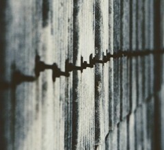 _DSC7953~4