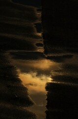 _DSC0732~3