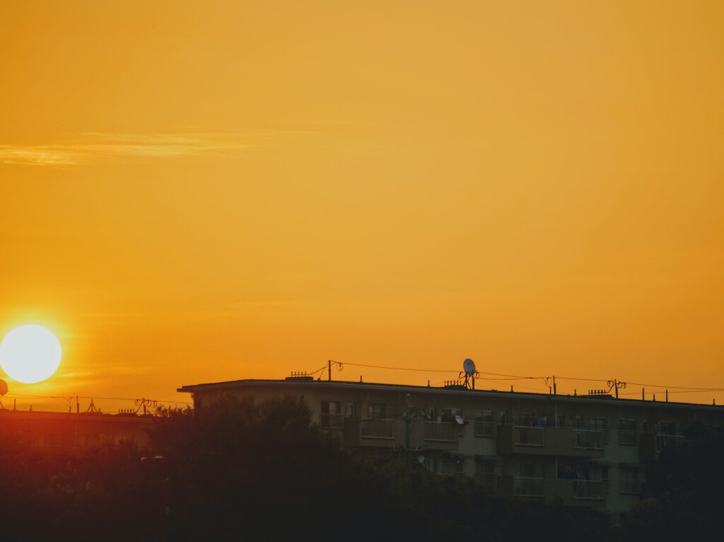 いつもの朝日だが