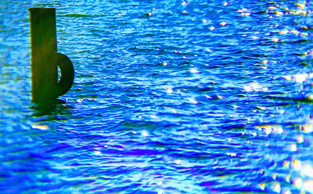 DSC_0026