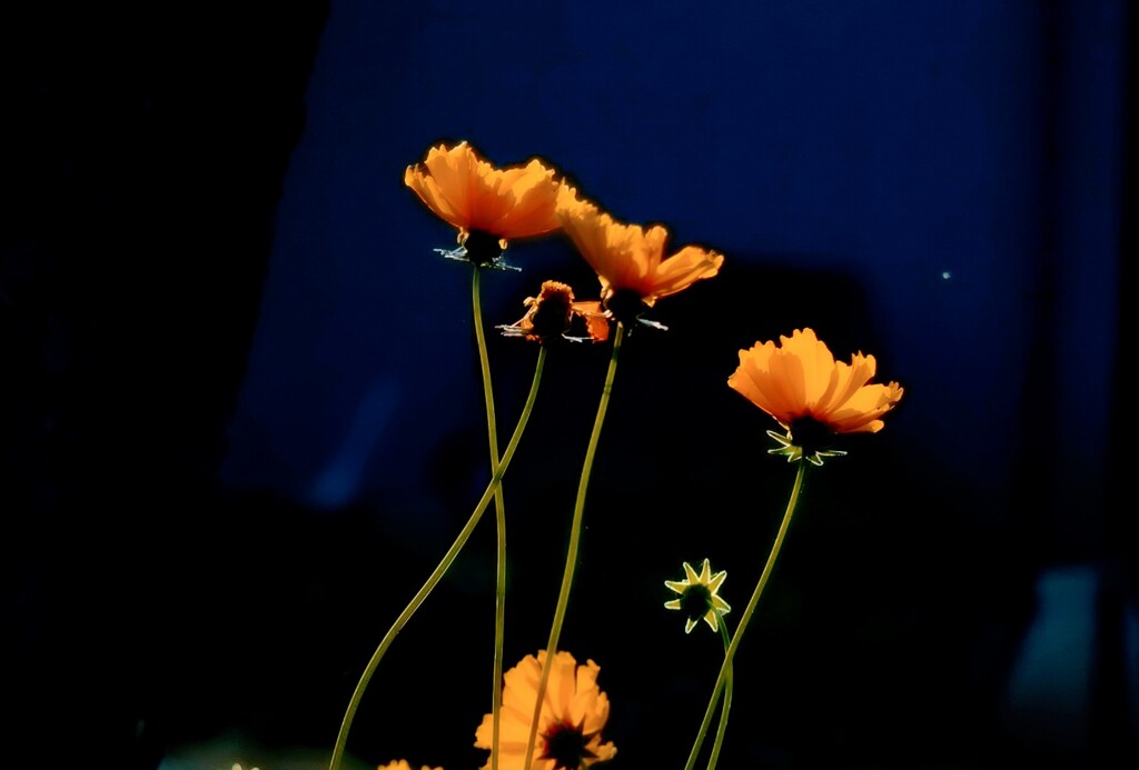_DSC0180~2