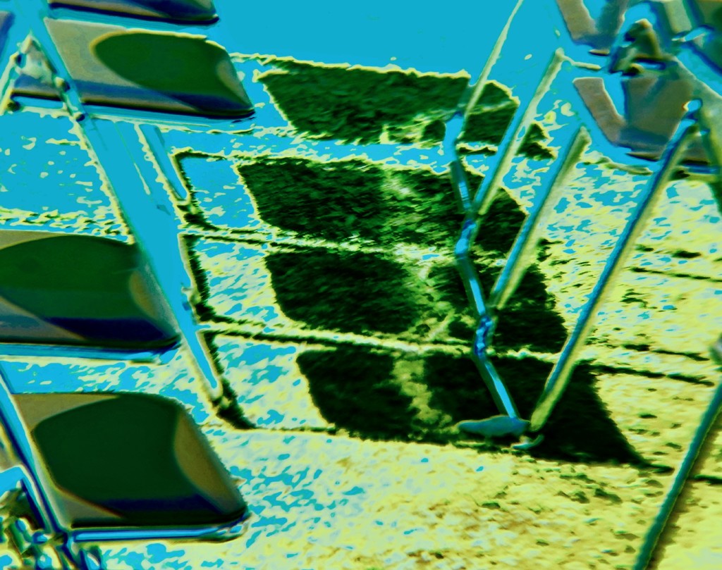 DSC_0124~4