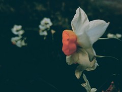 DSCPDC_0002_BURST20190121163357734