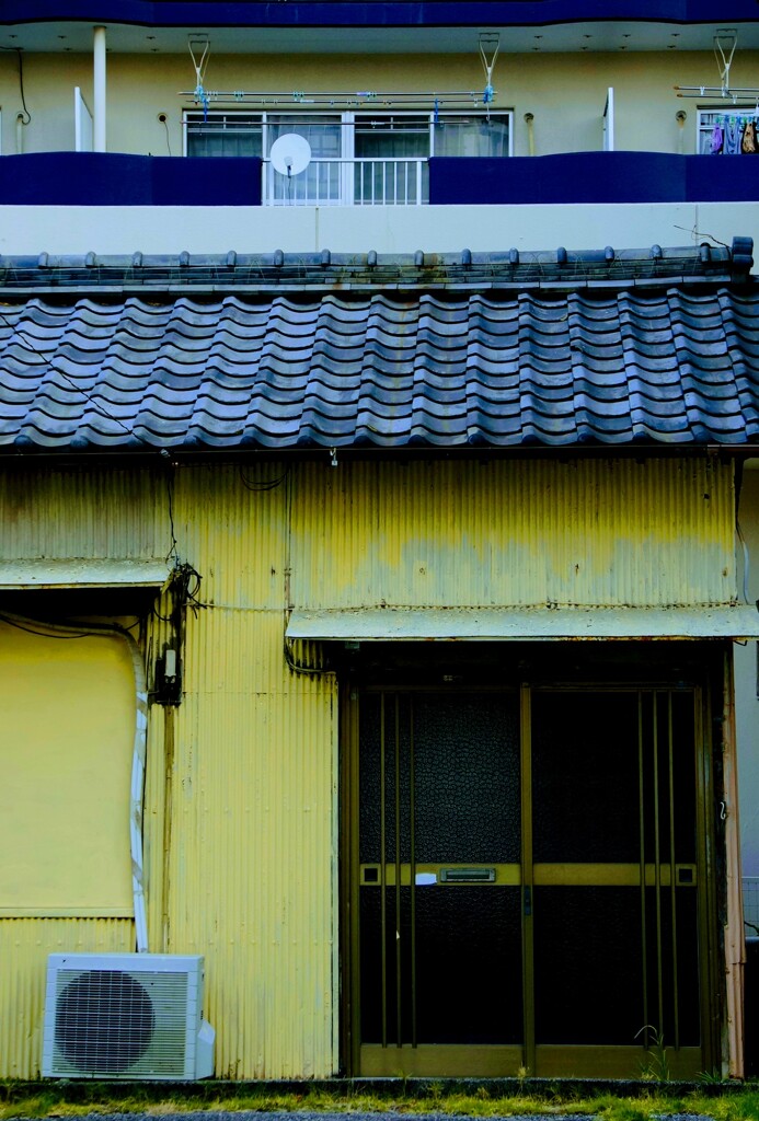 _DSC8011~2