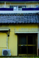 _DSC8011~2