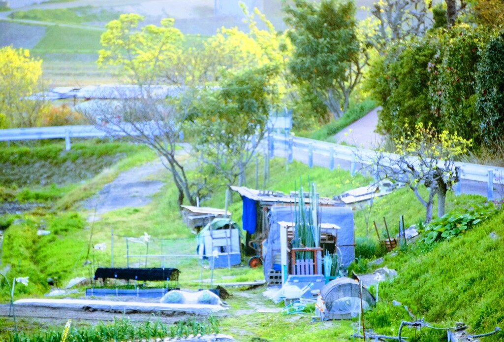 DSC09822~3