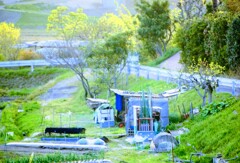 DSC09822~3