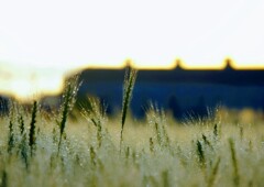 _DSC0029~2