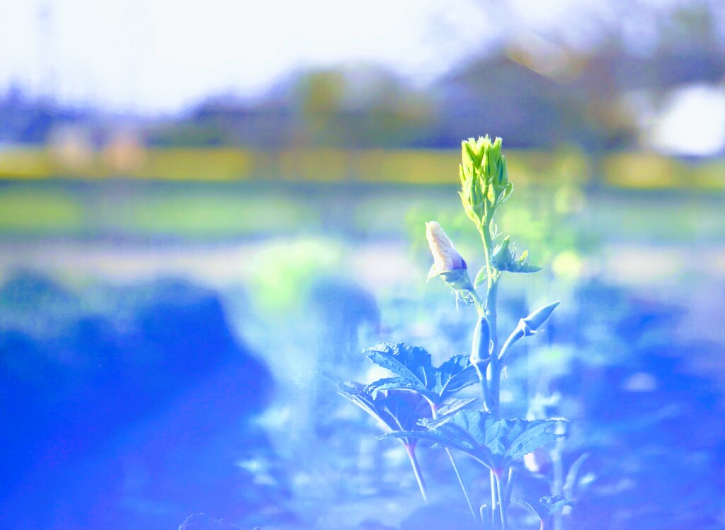 _DSC8460~2