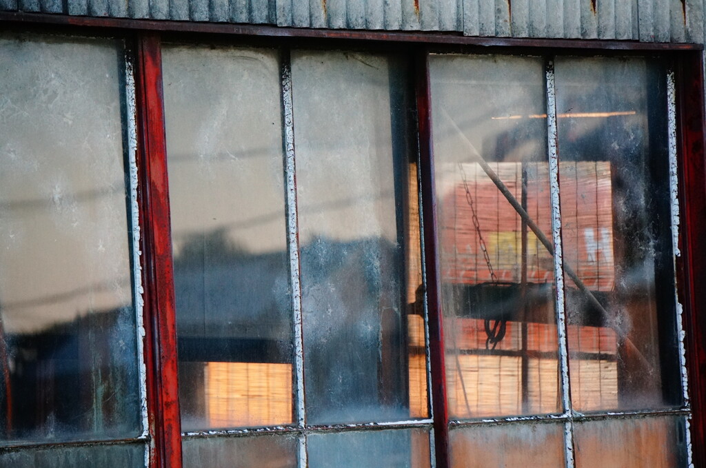 DSC09895