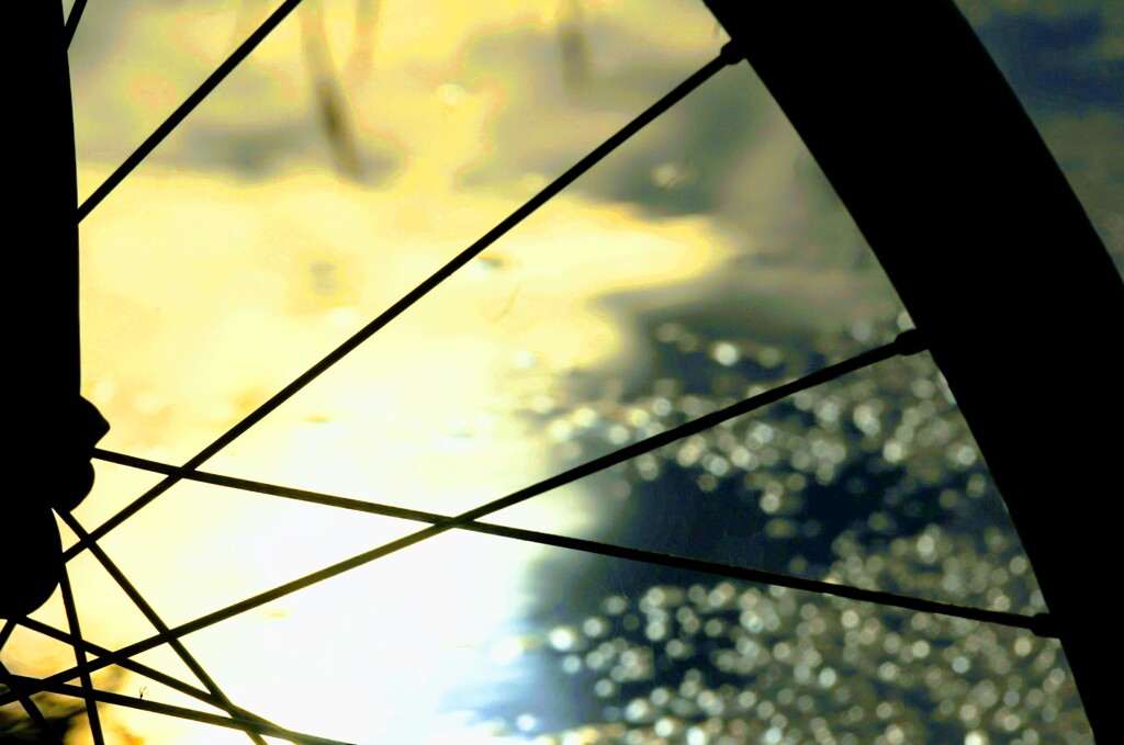 _DSC0534~2