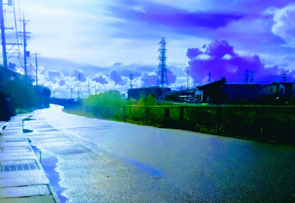 DSC_0004~3