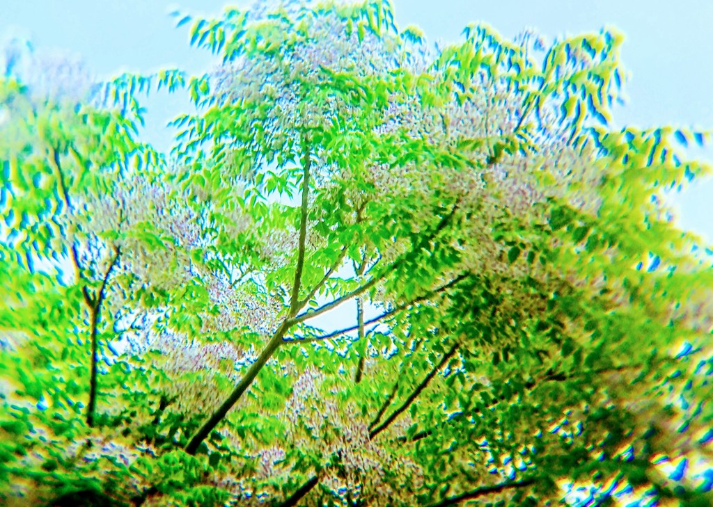 DSC_0101~3