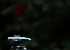 _DSC0086~3