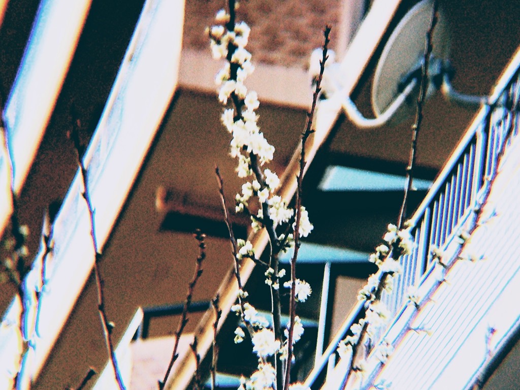 DSC_0109~2