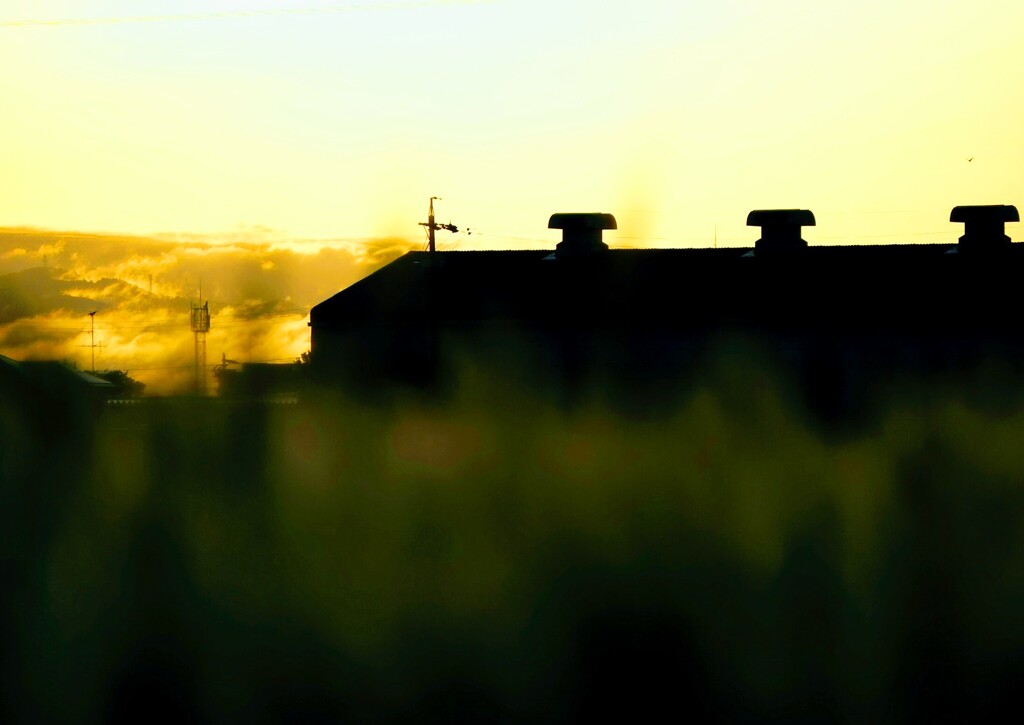 _DSC0031~2