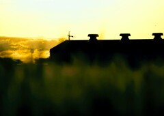 _DSC0031~2