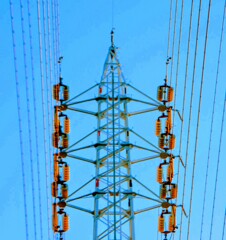 _DSC7949~3