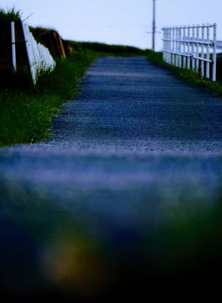 _DSC9962~2