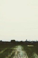 _DSC0297~2