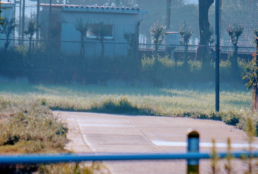 _DSC8512~3