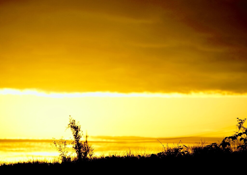_DSC8518~3