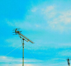 DSC07511~4