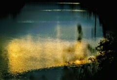 _DSC0204~3