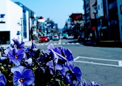 DSC_0108~2