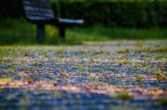 _DSC7928~2