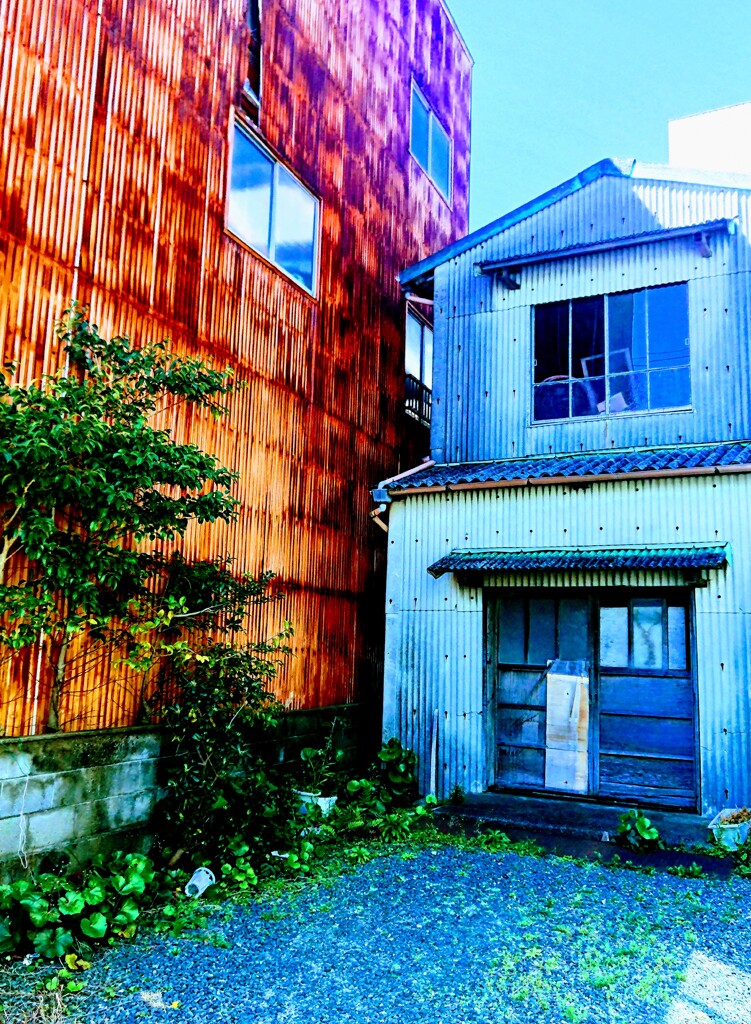 DSC_0048