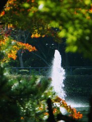 _DSC8799~2