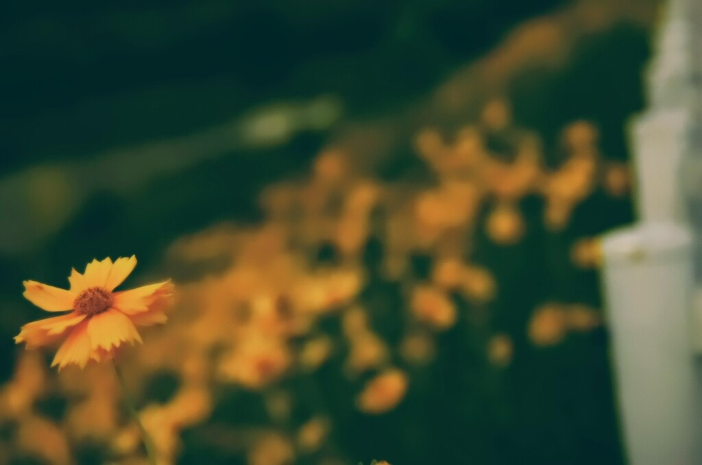_DSC0194~3