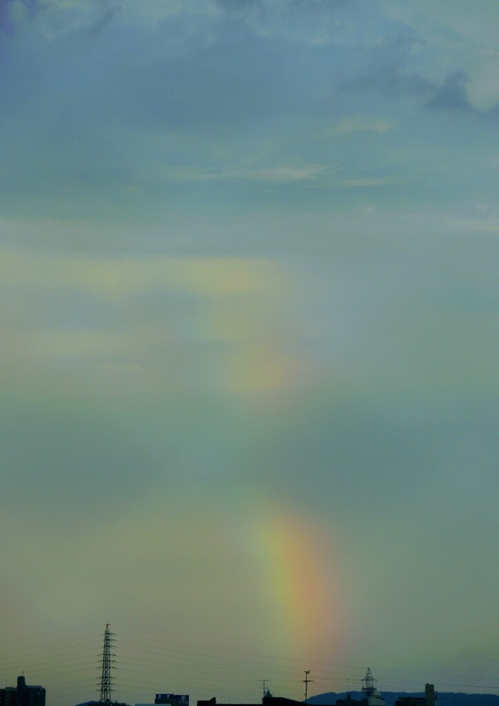 _DSC0895~4