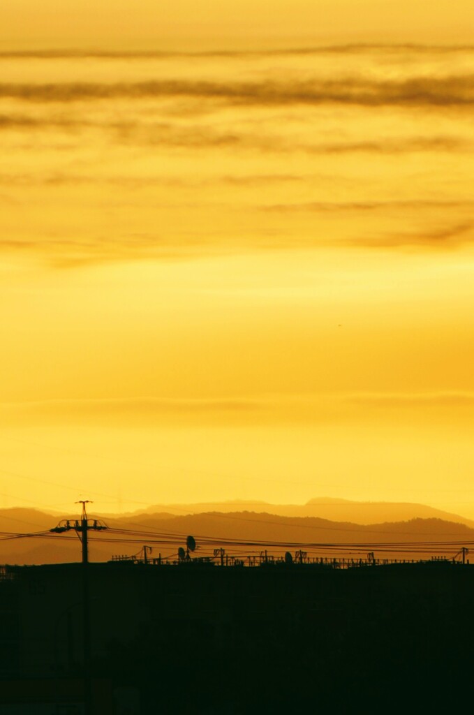 _DSC8525~3