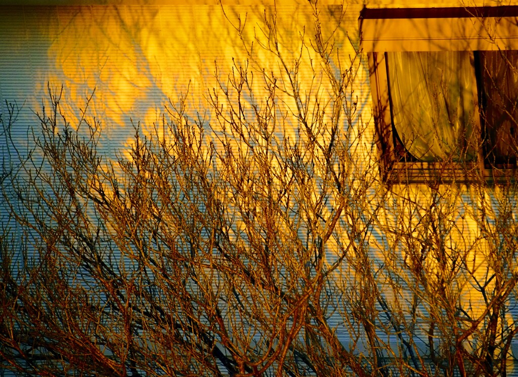 _DSC1704