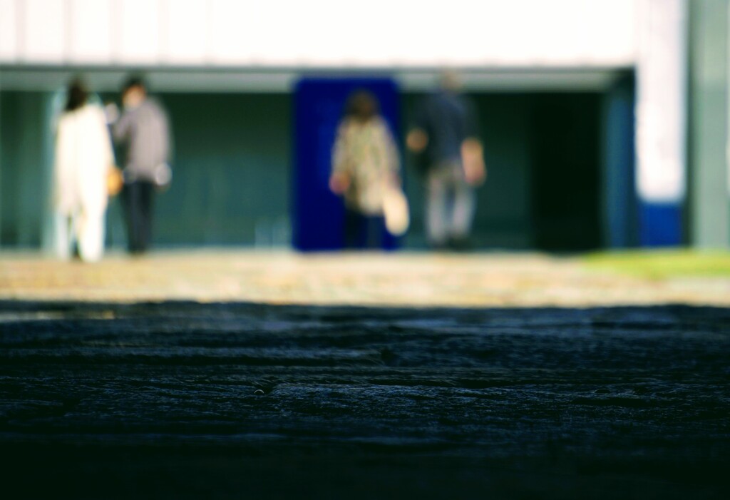 _DSC8688~2
