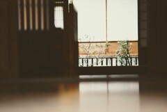 DSC04721