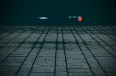 DSC07136~2 DSC07136~2