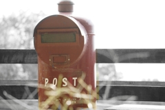 モノクロ カラー_20181014_040924